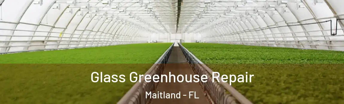 Glass Greenhouse Repair Maitland - FL