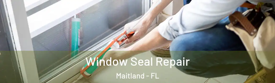  Window Seal Repair Maitland - FL